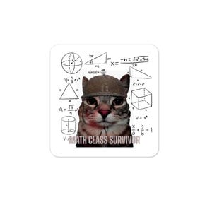 Op de afbeelding: Een vierkante sticker met een kat die een bruine helm draagt, omringd door diverse zwarte wiskundige formules en geometrische vormen op een witte achtergrond. De tekst "MATH CLASS SURVIVOR" staat in grijze hoofdletters onder de kat.