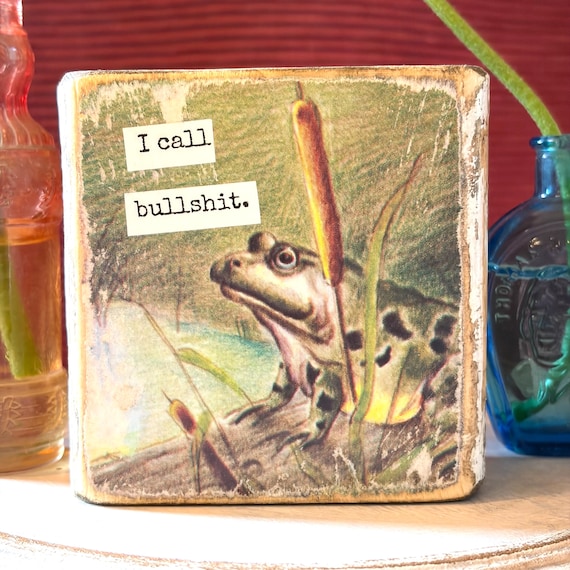 I call bullshit - Vintage Book Page Desk Sitter, Upcycled Book Art, Funny Saying