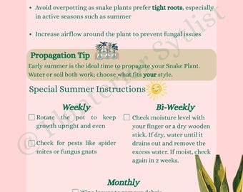 Snake Plant Summer Care Guide | Sansevieria Monthly Tracker (Digital Download)
