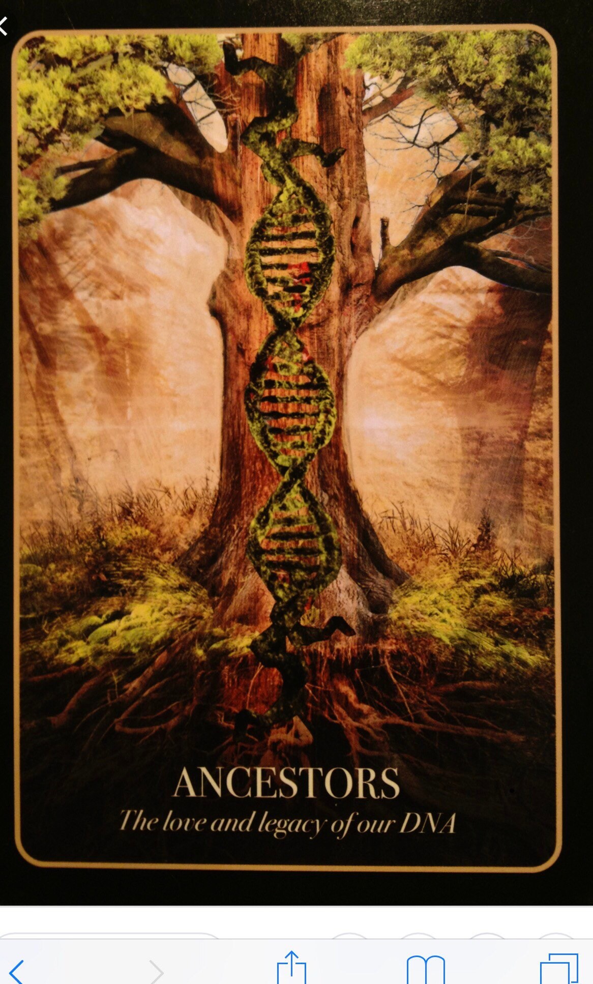 Ancestor Spirit Guide Reading Shamanic Reading Audio File Etsy