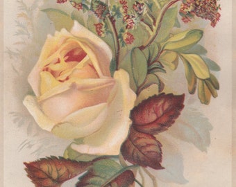 Antique Paper Ephemera Victorian Valentine Paper Diecut Card-Yellow Rose 1800s, 1900s