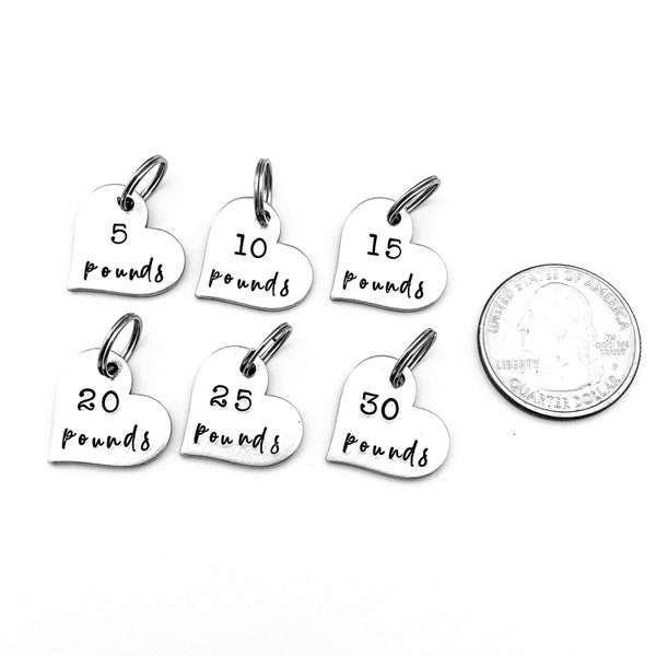 Weight Loss Charms, Weight Tracker Charms, Weight Management Charms, Add On Charms for Weight Tracker Keychain