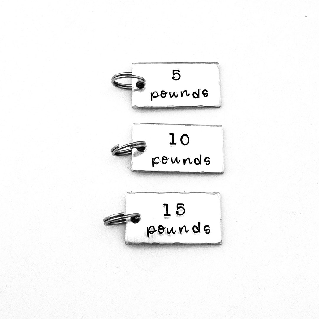 Weight Loss Charms, Weight Tracker Charms, Weight Management Charms, Add on Charms for Weight