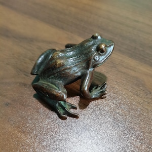 Könnte beinhalten: Eine kleine Metallfigur in dunkler Bronzefarbe, die einen Frosch in sitzender Haltung darstellt. Die Skulptur weist eine texturierte, verwitterte Oberfläche mit sichtbaren braunen und mattgrünen Patina-Akzenten auf, die die Anatomie betonen.