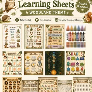 May include: A collection of 13 printable learning sheets with a woodland theme, featuring illustrations of animals like owls and squirrels. The sheets include charts for months, numbers, days of the week, colors, body parts, weather, solar system, shapes, emotions, currency, alphabet, maps, and numbers 1-100.