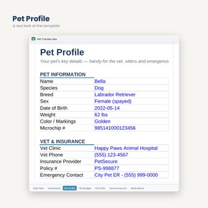 Pet Budget and Health Tracker | Vet Visits, Vaccines, Medications (Digital Download) image 4
