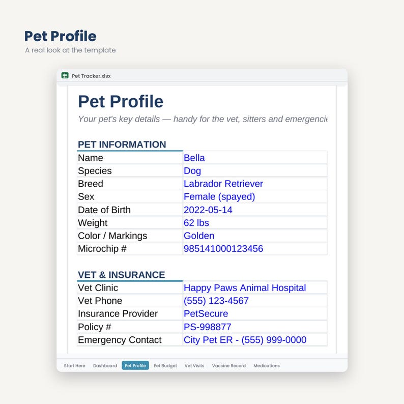 Pet Budget and Health Tracker | Vet Visits, Vaccines, Medications (Digital Download) image 4