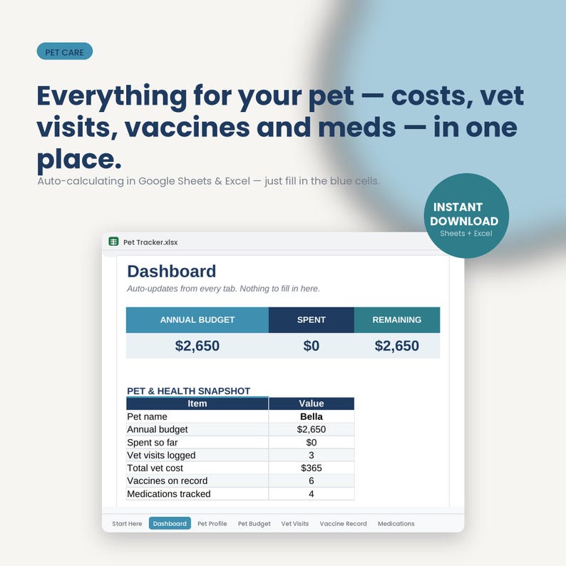 Pet Budget and Health Tracker | Vet Visits, Vaccines, Medications (Digital Download) image 1