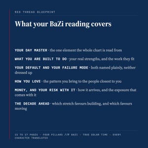 What your BaZi reading covers, listed on a deep blue panel: your day master, what you are built to do, your default and your failure mode, how you love, money and your risk with it, and the decade ahead. The footer notes four pillars 八字 bazi, true solar time, and every character translated.