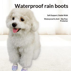 Lightweight Dog Boots Easy On Off Wide Opening – Double Straps All-Weather Waterproof Paw Protectors for Hot Pavement & Winter Salt image 6