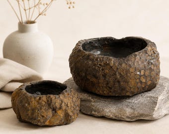 Natural Coral Stone Bowl, Wabi Sabi Air Plant Holder, Rustic Jewelry Dish