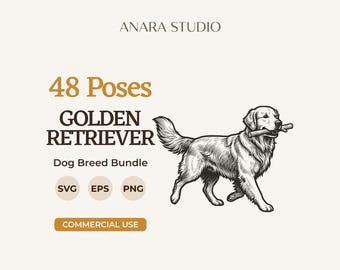 48 Golden-Retriever-Posen (SVG-Bundle) | Hunderassen-Clipart