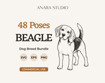 48 Beagle-Posen (SVG-Bundle) | Hunderassen-Cliparts
