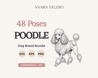 48 Pudelposen (SVG-Bundle) | Hunderassen-Cliparts