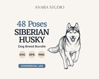 48 SVG-Bundle mit Posen für Siberian Huskies | Hunderassen-Cliparts