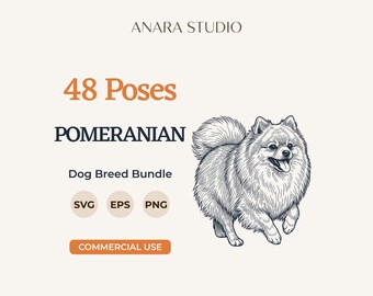 48 Pomeranian-Posen (SVG-Bundle) | Hunderassen-Clipart