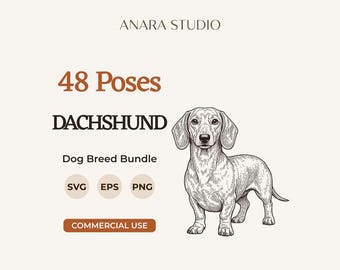 48 Dackelposen (SVG-Bundle) | Hunderassen-Cliparts
