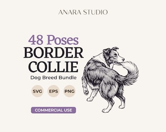 48 Border Collie Posen SVG-Bundle | Hunderassen-Cliparts
