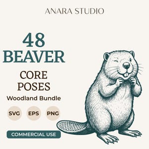 May include: A digital graphic featuring a detailed line-art illustration of a winking beaver. Text reads: ANARA STUDIO, 48 BEAVER CORE POSES, Woodland Bundle, SVG, EPS, PNG, and COMMERCIAL USE. The design uses dark teal and brown text on a cream background.