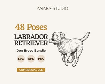 48 Labrador Retriever Posen SVG-Bundle | Hunderassen-Cliparts