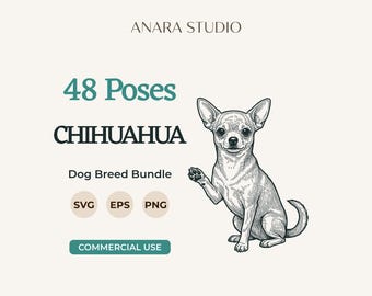 48 Chihuahua-Posen (SVG-Bundle) | Hunderassen-Cliparts