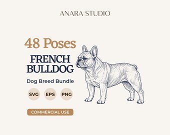 48 SVG-Bundle mit Posen für Französische Bulldoggen | Hunderassen-Cliparts