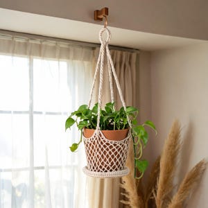 May include: A cream-colored macrame plant hanger featuring a net-like basket design that holds a terracotta pot with a green leafy plant. The hanger includes a circular base and twisted cord straps that converge at a top loop for hanging.