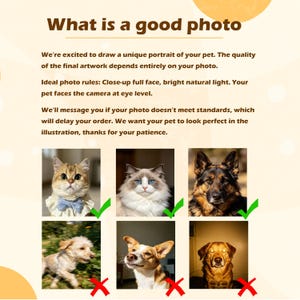 Op de afbeelding: Een informatieve afbeelding met de titel What is a good photo met tekstinstructies voor huisdierportretten. Het toont zes voorbeeldfoto's van katten en honden, drie gemarkeerd met groene vinkjes en drie met rode kruisjes.