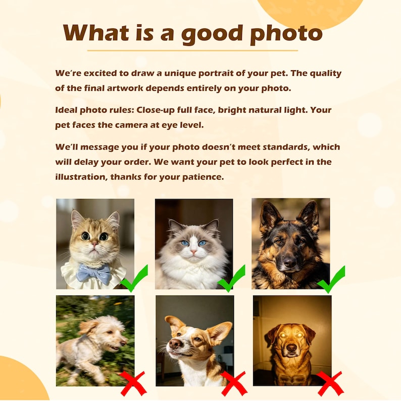 Op de afbeelding: Een informatieve afbeelding met de titel What is a good photo met tekstinstructies voor huisdierportretten. Het toont zes voorbeeldfoto's van katten en honden, drie gemarkeerd met groene vinkjes en drie met rode kruisjes.