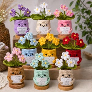 Häkelanleitung für einen emotionalen Unterstützungs-Blumentopf (PDF) | 9 Farbvarianten im Set | Amigurumi-Pflanze für Anfänger | Geschenk für Lehrer