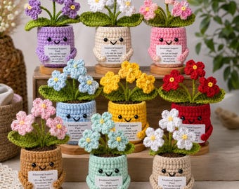 Crochet Emotional Support Flower Pot Pattern PDF | 9 Flower Pot Colorways Bundle | Beginner Amigurumi Plant | Teacher Gift