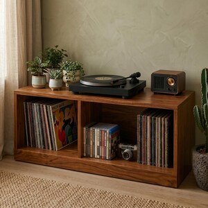 May include: A rectangular wooden media console with two open storage compartments. The top surface holds a black turntable and a small brown speaker. The shelves are filled with vinyl records and a vintage-style camera. Three small potted plants sit nearby.