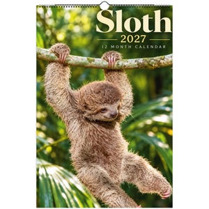 Puede incluir: Un calendario de pared de 12 meses para 2027 titulado Sloth, con una fotografía de un perezoso marrón peludo colgado de una rama. El texto Sloth 2027 12 Month Calendar está impreso en blanco y dorado en la parte superior sobre fondo verde.