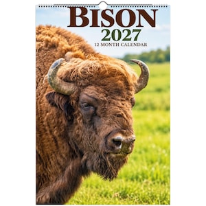 May include: A 2027 12-month wall calendar featuring a large brown bison with curved horns on the cover. The text BISON 2027 12 MONTH CALENDAR is printed in dark brown and green at the top against a blue sky and green field background.