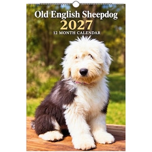 May include: A 2027 12-month wall calendar featuring a photograph of an Old English Sheepdog puppy with white and dark gray fur. The text on the calendar reads Old English Sheepdog 2027 12 Month Calendar in white and gold lettering.