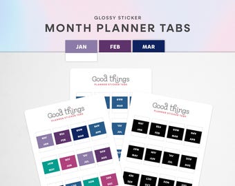 Pestañas para planificadores mensuales: etiquetas adhesivas / Pestañas autoadhesivas de 12 meses para planificadores, organización para TDAH, bullet journals y pegatinas para calendarios.