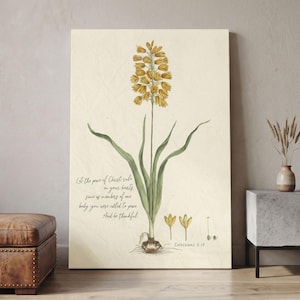 Può includere: Una stampa artistica da parete rettangolare verticale su sfondo color crema con un'illustrazione botanica di un fiore imperiale giallo con foglie verdi e un bulbo. Il testo recita: Let the peace of Christ rule in your hearts, since as members of one body you were called to peace. And be thankful. Colossians 3:15.