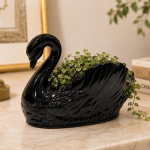 May include: A glossy black ceramic swan-shaped planter featuring detailed molded feather textures on the wings and body. The hollow center of the swan holds a small, leafy green plant with tiny rounded leaves that spill over the edges.