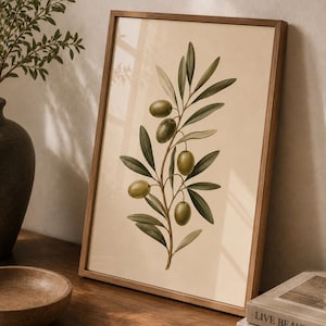 Op de afbeelding: Een ingelijste kunstdruk met een botanische illustratie van een olijftak met groene olijven en langwerpige bladeren op een lichtbeige achtergrond. Het kunstwerk is gevat in een eenvoudige houten lijst met een lichtbruine afwerking.