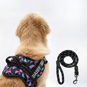 Puede incluir: Un arnés para perro con un patrón geométrico en negro, azul y rosa con el nombre DAISY impreso en una correa lateral, junto a una correa de cuerda negra con costuras reflectantes blancas y un clip de metal para una sujeción segura.