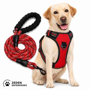 May include: A light-colored dog wearing a red and black reflective harness with a matching red and black rope leash featuring a black foam-padded handle. The leash has a metal clip and the harness includes a black D-ring for attachment. ZEDEN ENTERPRISES.