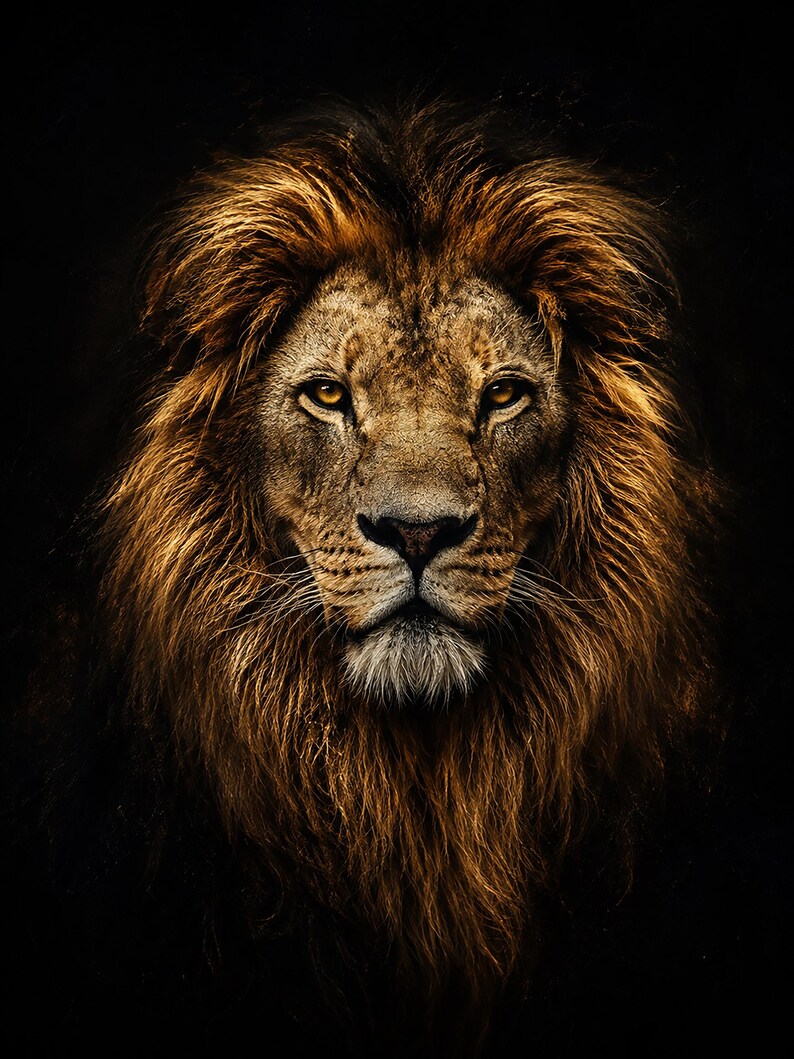 May include: A portrait of a male lion with a thick, golden-brown mane and amber eyes, captured in a direct, forward-facing view against a solid black background. The fur displays detailed textures, highlighting the contrast between the light and dark tones.