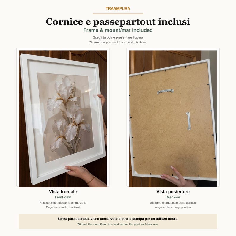 May include: A white picture frame with a removable mount containing a print of white iris flowers. The text TRAMAPURA, Cornice e passepartout inclusi, Frame & mount/mat included, Vista frontale, Front view, Vista posteriore, Rear view is visible.