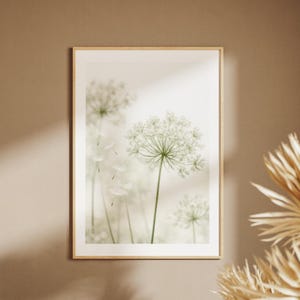 Puede incluir: Una lámina de arte mural enmarcada que presenta una ilustración botánica de enfoque suave de flores blancas de encaje de la reina Ana con tallos delicados y semillas flotantes sobre un fondo neutro, en un marco de madera clara.