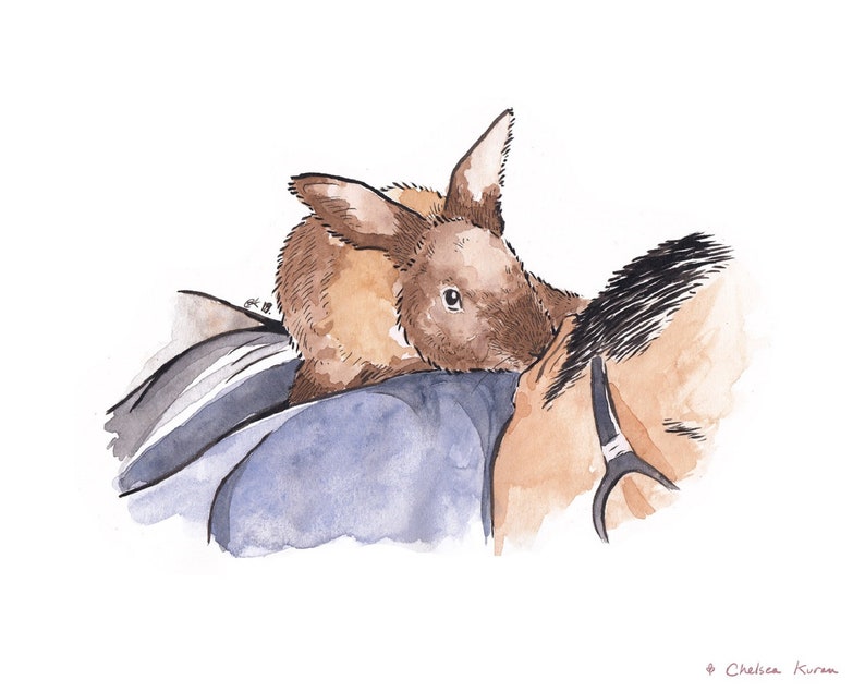 Download Family and Pet Art Black and White or Color Illustration ORIGINAL Custom Portrait Pet Portraits ...