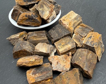 Petrified Wood Raw Stone - Rough Fossil Wood Crystal, Mineral Collection, Bulk Gemstone Gift
