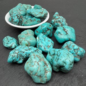 May include: A collection of raw turquoise stones with natural dark brown matrix veining. Several stones are contained within a small white bowl, while others are scattered around the base, showcasing varied irregular shapes and vibrant blue-green hues.