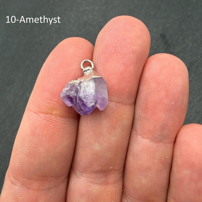 Pu&ograve; includere: Un ciondolo in cristallo di ametista grezza caratterizzato da una pietra viola naturale e irregolare con un gancio in metallo color argento fissato sulla parte superiore. Il testo 10-Amethyst &egrave; visibile nell'angolo in alto a sinistra.