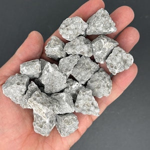 May include: A collection of small, rough-cut grey stones featuring a distinct, natural circular fossilized pattern across their surfaces. These irregular, textured mineral fragments exhibit a matte finish with varying shades of light and dark grey.