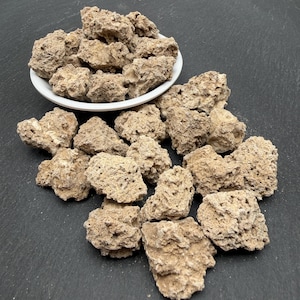 May include: A collection of light brown, porous, and jagged natural rock fragments. Some pieces are piled inside a small, round, white ceramic bowl, while others are scattered around the base of the bowl on a dark, textured surface.